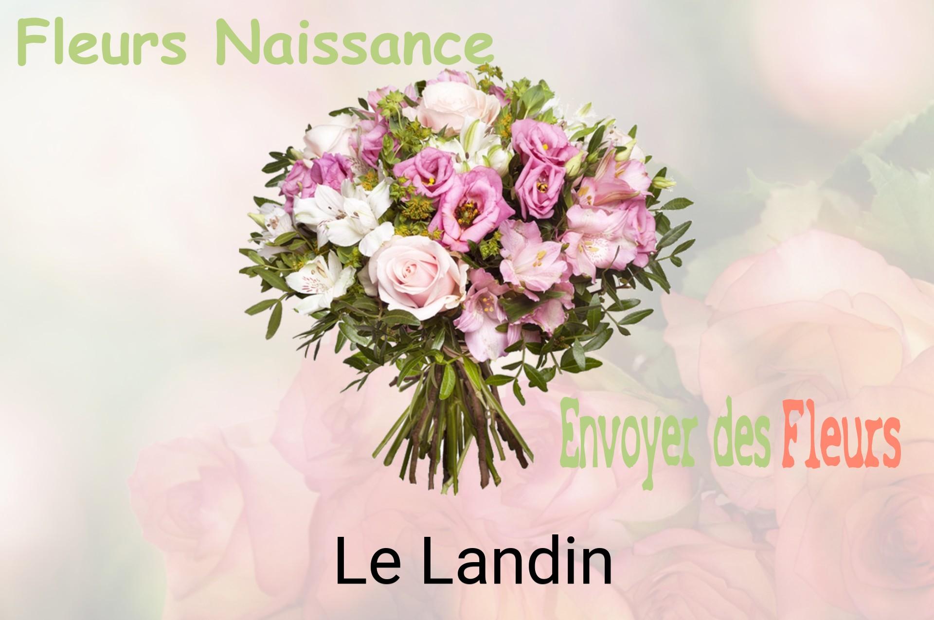 Bouquet de fleurs de naissance livré à Le Landin